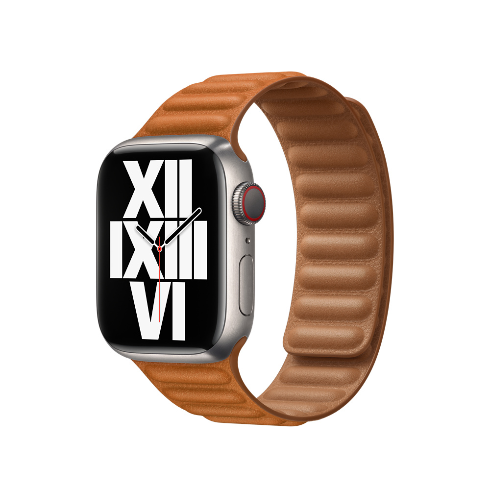 Picture of Apple Watch 41mm Brown Link