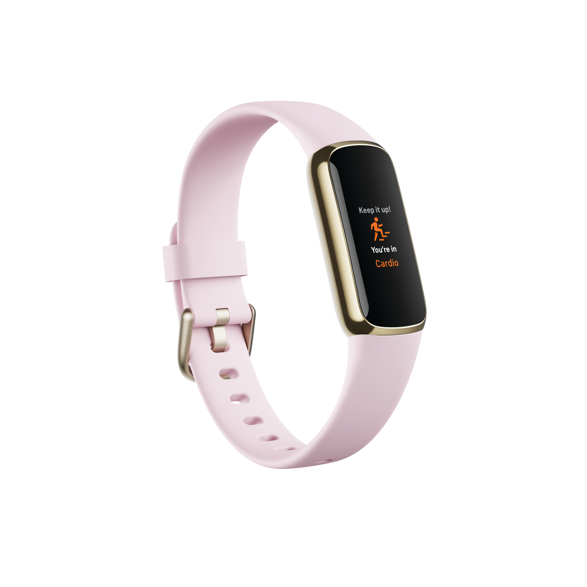 Picture of Fitbit Luxe Special Edition
