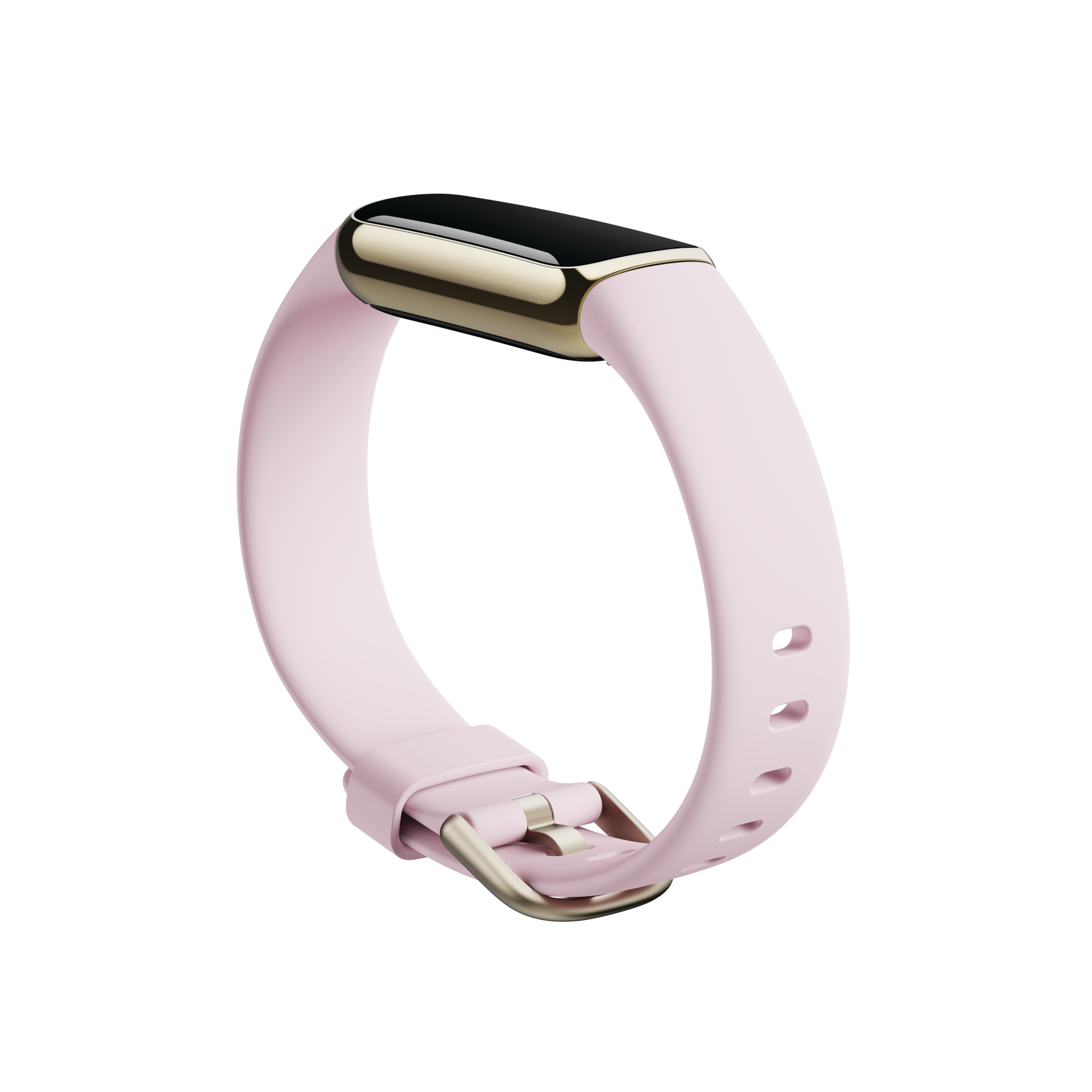 Picture of Fitbit Luxe Special Edition